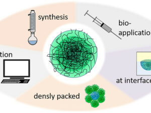 The Future of Functional Group Chemistry: Emerging Trends and Applications .