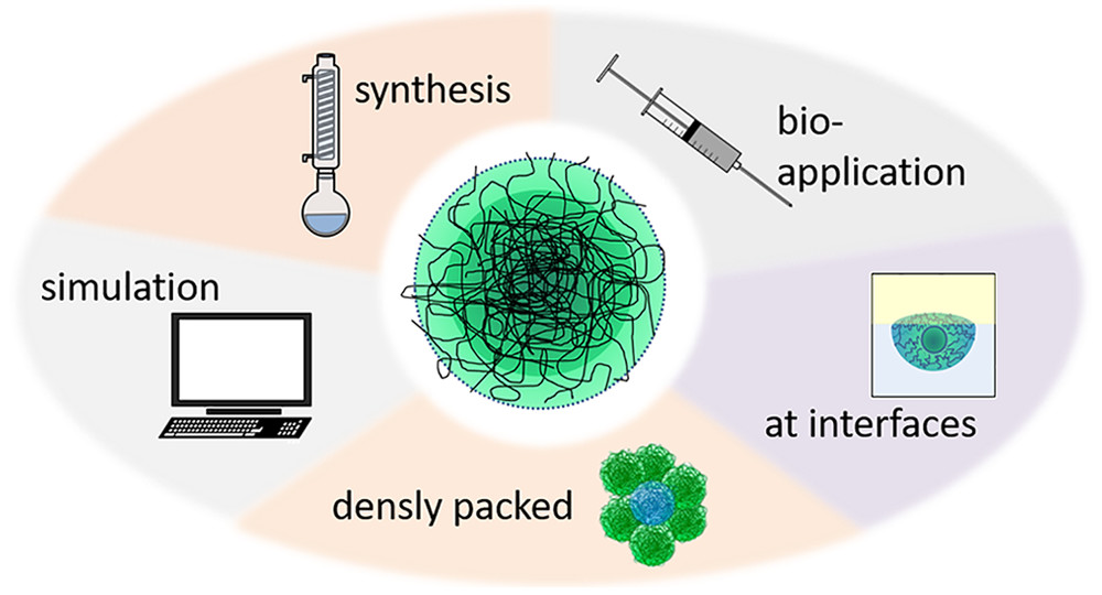 The Future of Functional Group Chemistry: Emerging Trends and Applications .